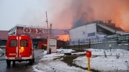 Страховая выплата после пожара в «Мега Химки» будет максимальной в истории России