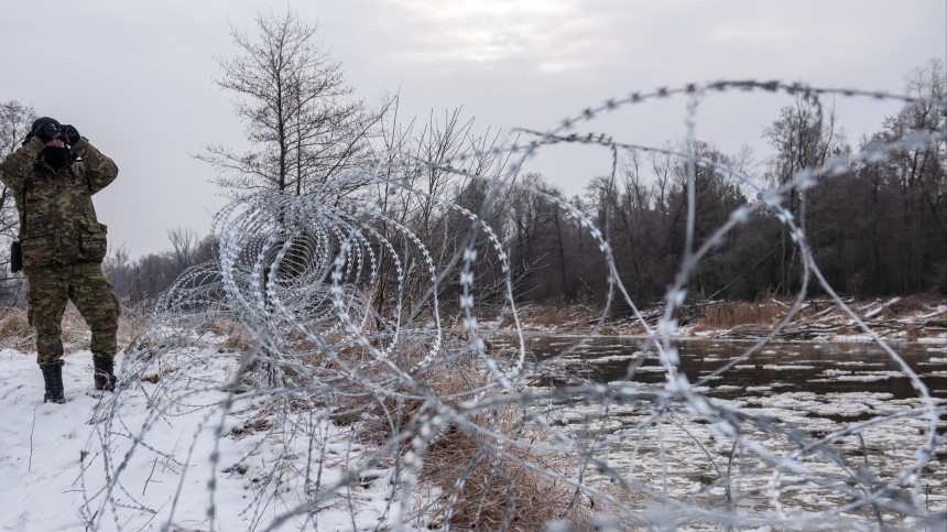 Пограничники Белоруссии обнаружили полуживого беженца на границе с Латвией