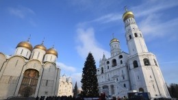 В Подмосковье срубили главную ель страны