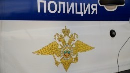 Полиция в Красноярске создала спецподразделение пилотов квадрокоптеров