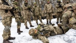 Моська простив слона: армия Швеции совершенно неспособна воевать с Россией