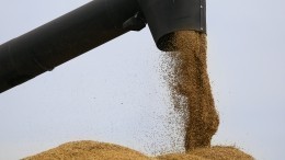 В МИД РФ заявили о необходимости корректировки зерновой сделки