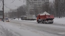 Хитрые москвичи придумали, как заработать на последствиях рекордного снегопада