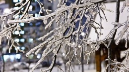 Морозы и ледяные дожди: зима готовит сюрпризы российским регионам