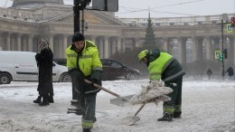 Санкт-Петербург столкнулся с нехваткой дворников