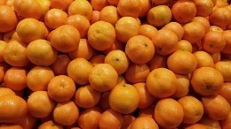 Цитрусовая инфляция: что будет с ценами на мандарины в магазинах