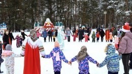 «Звезды, блогеры и сказка»: в Подмосковье пройдет благотворительная елка