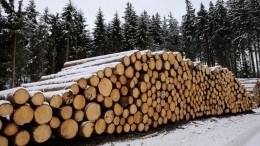 Во Франции ввели талоны на дрова