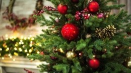 На балкон, порезать и опрыскать: как сохранить живую новогоднюю елку