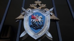 СК РФ раскрыл жуткие подробности смерти красотки в бюстье и стрингах в отеле Москвы