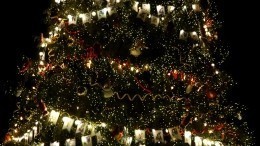 Разминка с богатырями: как проходит «Рождественская сказка» в Серпухове