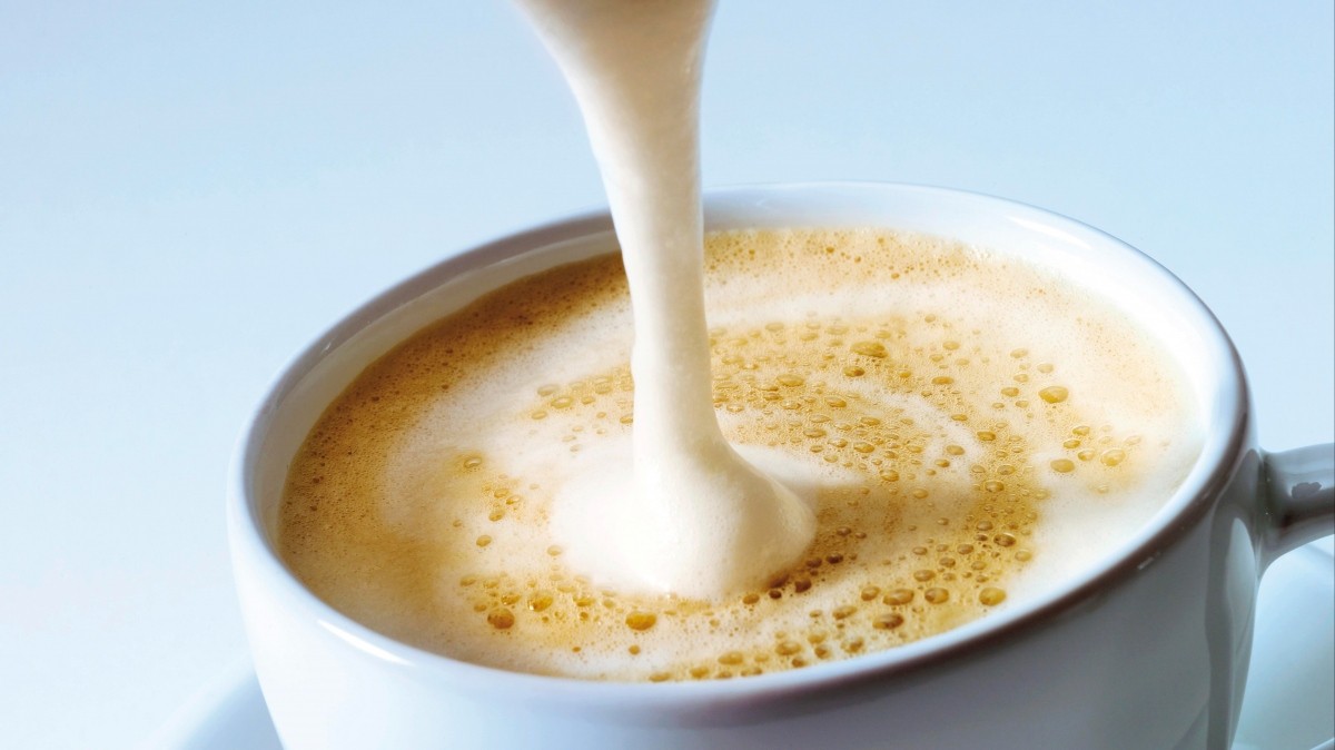 Как взбить молоко для капучино дома