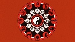 Бык Козе не товарищ. Китайский гороскоп на неделю с 9 по 15 января