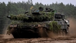 В Болгарии предложили передать Киеву коз вместо танков Leopard