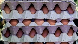 Жить захочешь: контрабанда яиц в США стала поводом для мемов