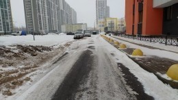 Погодные аномалии: циклоны принесли в Петербург и Москву дожди и снегопады