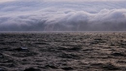 В Охотском море спасают попавшее в шторм судно-рефрижератор