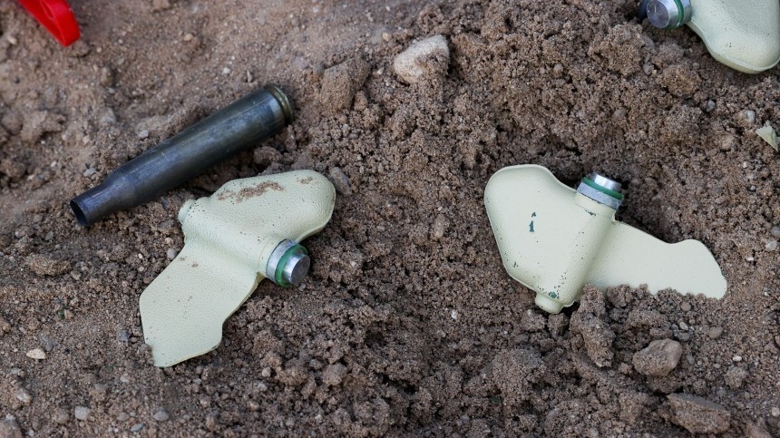 «Берут на карандаш»: депутат Журова отреагировала на отчет HRW о запрещенных минах ВСУ