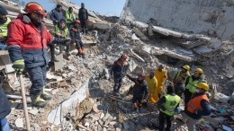 Все лапы в крови: собака-спасатель вытащила пятерых людей из-под завалов в Турции