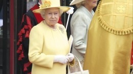 Королева Елизавета пришла на свадьбу принца Уильяма в дырявой перчатке