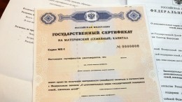 Маткапитал в Донбассе и Новороссии будут выдавать за детей с 2007 года