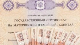 В России хотят дать право отцам использовать маткапитал на накопительную пенсию