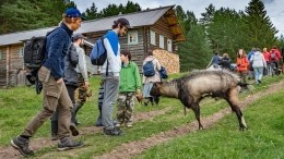 Ради колорита: почему сельский туризм так притягивает путешествующих