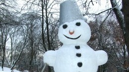 Житель Уфы слепил более 30 снеговиков, чтобы проводить ненавистную зиму