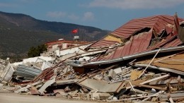 Живую собаку достали из-под завалов в Турции спустя 22 дня после землетрясения