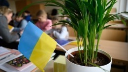 В датской школе отказали украинцам в требовании уволить русскую учительницу