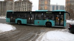 Разъяренный водитель автобуса в Хабаровском крае выкинул бабушку на улицу