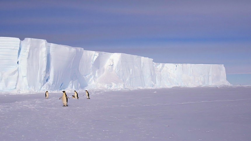 В Антарктиде лед растаял до рекордно низкого уровня за всю историю наблюдений