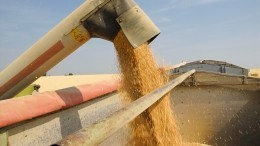 В МИД назвали условия участия России в зерновой сделке