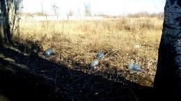 Власти сообщили о целенаправленном ударе ВСУ по пункту выдачи воды в Лисичанске