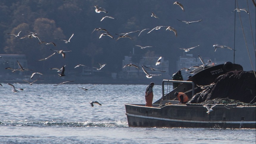 В Стамбуле загорелось рыболовецкое судно под российским флагом