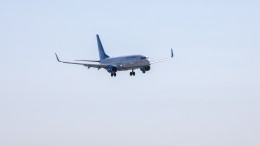 «Скорее всего, птица»: запись переговоров авиадиспетчера и пилота Boeing 737