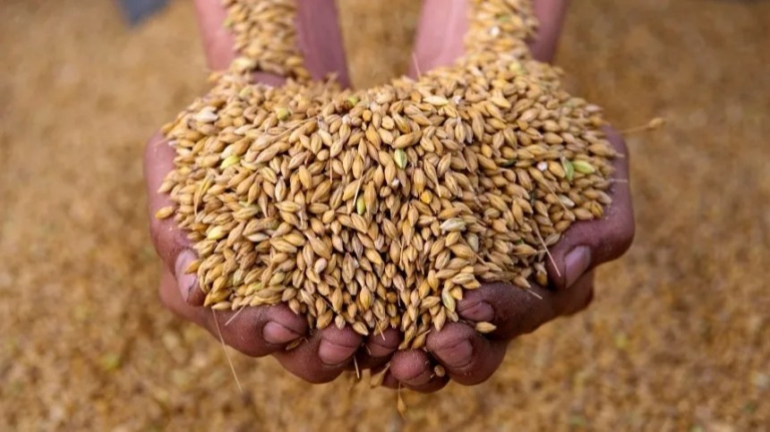 В МИД РФ прокомментировали заявления Киева о продлении «зерновой сделки»