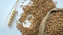 Вершинин: РФ не возражает против продления «зерновой сделки», но при одном условии