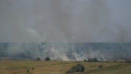 Новая «горячая» точка: в Астраханском заповеднике полыхают 4 тысячи гектаров