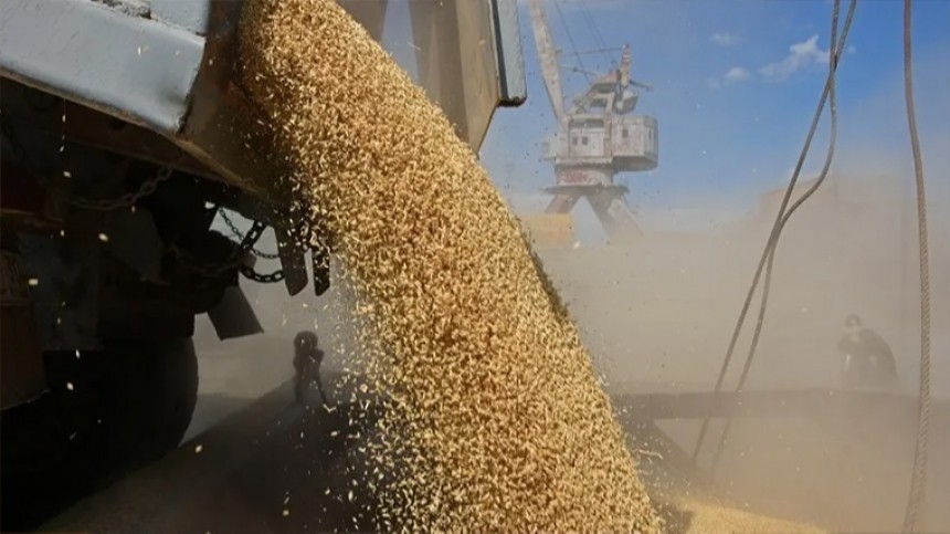 Киев выступил за расширение зерновой сделки на порты Николаева