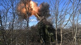 Российские артиллеристы уничтожили укрепрайон ВСУ на купянском направлении — видео