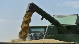 Путин сообщил о будущем зерновой сделки: «Только при учете нашей позиции»