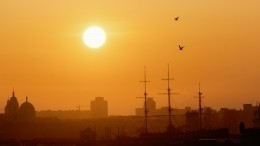 Петербург почти побил температурный рекорд 33-летней давности