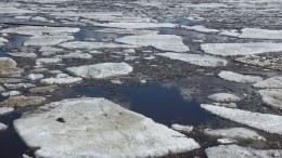 Нева и Волга освободились от ледяных оков — кадры зрелищного ледохода