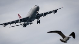 Авиакомпании Ближнего Востока начали принимать оплату по СБП