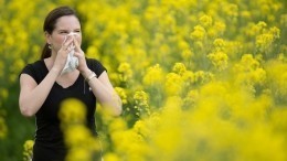 Конец мучениям: ученые из РФ создали вакцину против аллергии на пыльцу березы