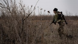 Украинская армия потеряла более 200 военных на одном направлении