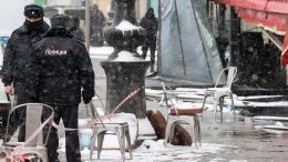 СК РФ признал взрыв в кафе Петербурга терактом