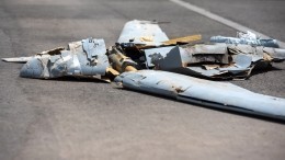 Стало известно об упавшем вблизи Запорожской АЭС ударном дроне ВСУ