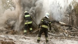 Первые очаги: сезон лесных пожаров начался на Урале